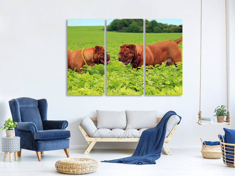 3-piece-canvas-print-2-heavyweights