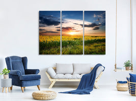 3-piece-canvas-print-a-field-of-sunflowers