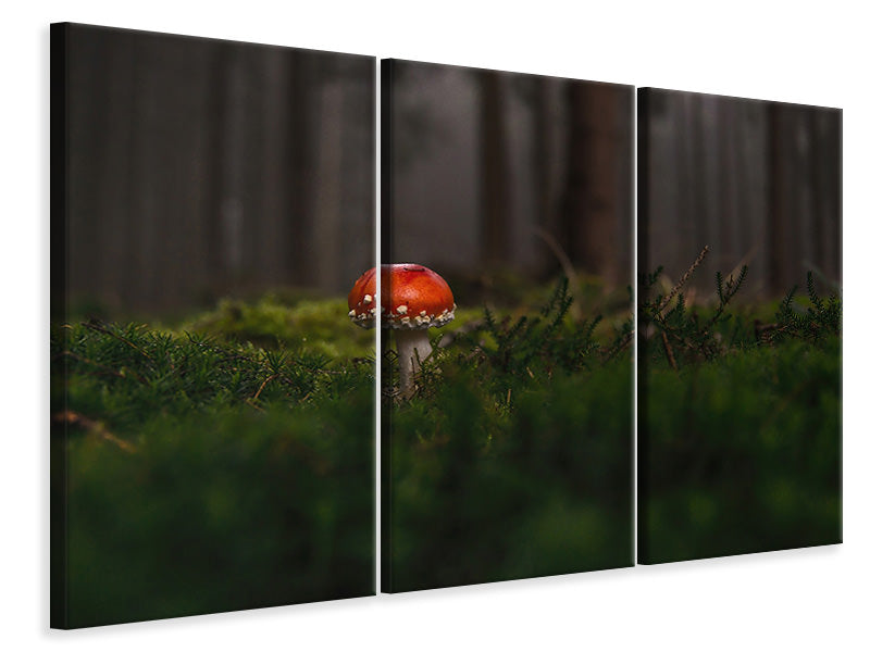 3-piece-canvas-print-a-mushroom-in-the-forest
