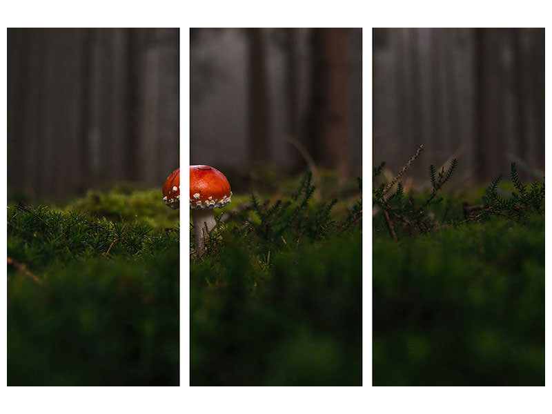 3-piece-canvas-print-a-mushroom-in-the-forest