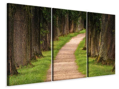 3-piece-canvas-print-a-path-in-the-forest