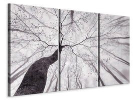 3-piece-canvas-print-a-view-of-the-tree-crown