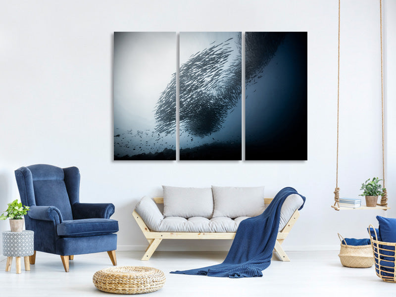 3-piece-canvas-print-absolute-dominance