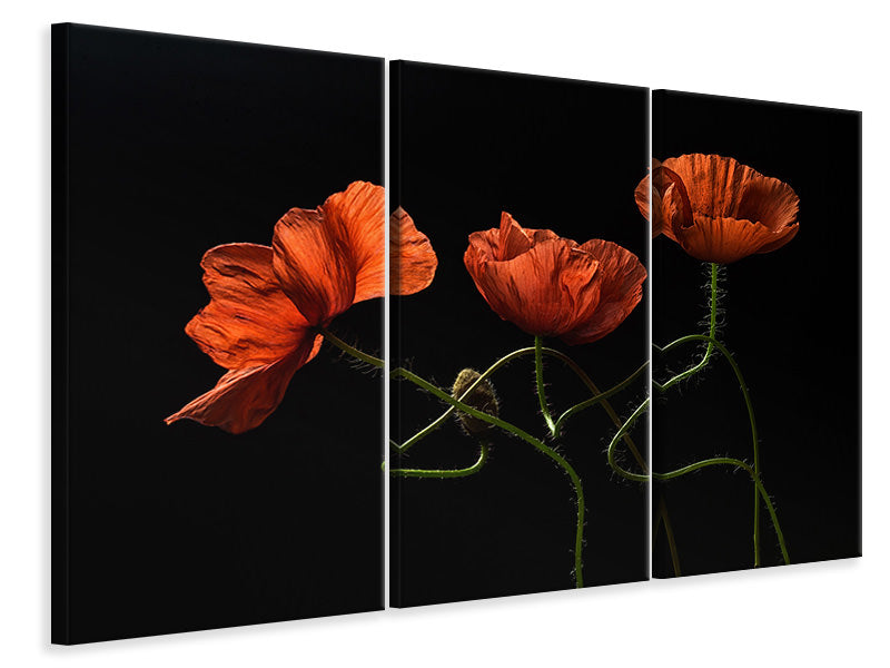 3-piece-canvas-print-around-midnight