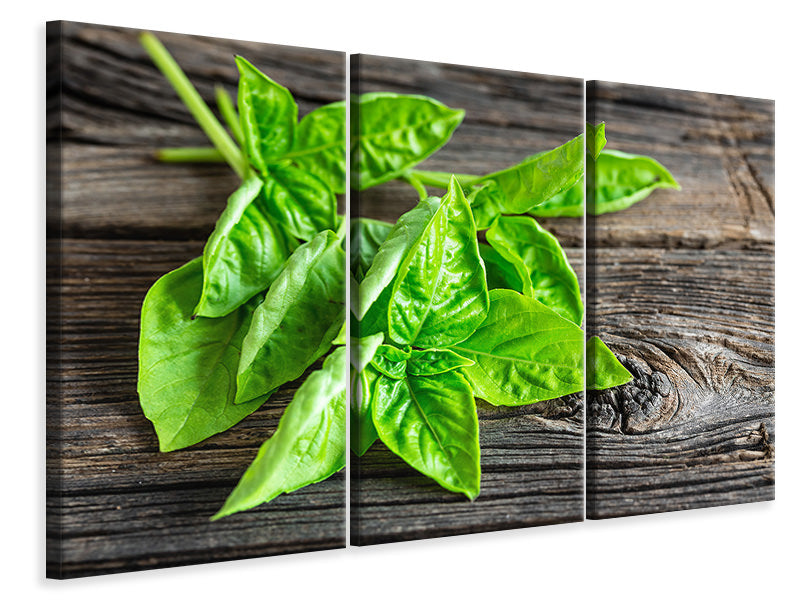 3-piece-canvas-print-basil-leaves-ii