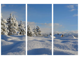 3-piece-canvas-print-beautiful-snow-landscape