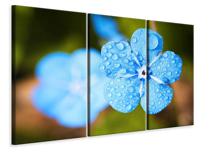 3-piece-canvas-print-blue-flower-with-morning-dew