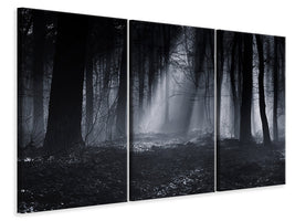 3-piece-canvas-print-capela-forest