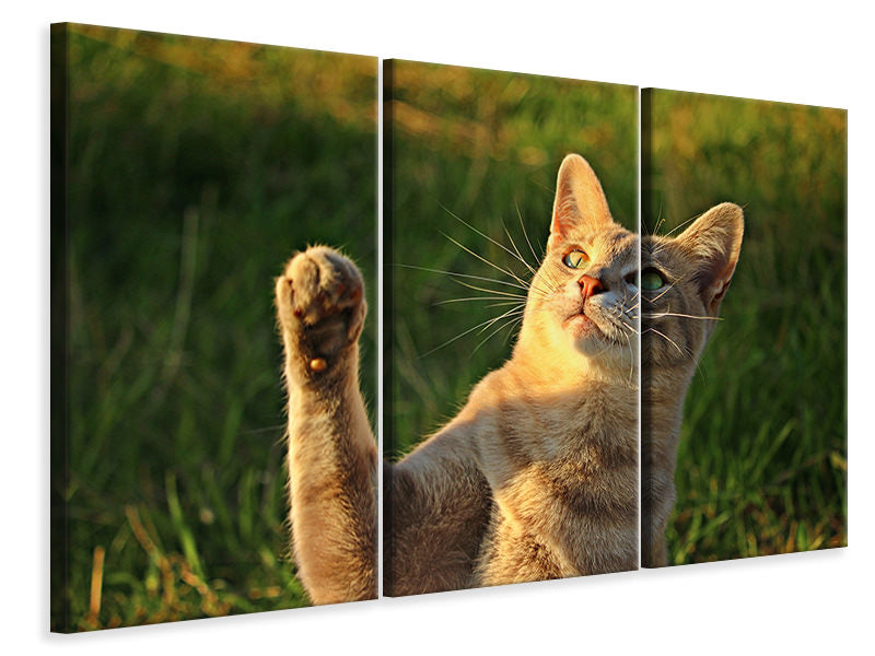 3-piece-canvas-print-cats-game