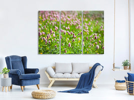 3-piece-canvas-print-clover