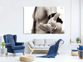 3-piece-canvas-print-come-over