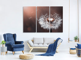 3-piece-canvas-print-dandelion-in-the-evening-light