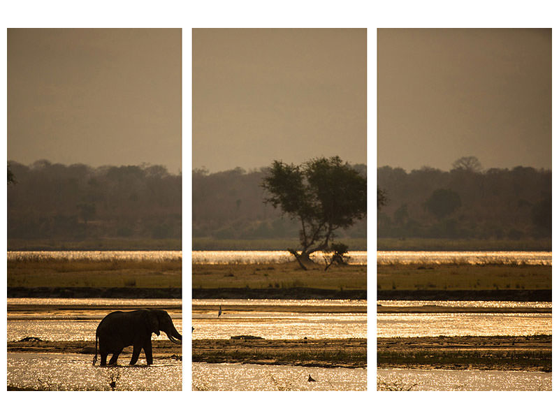 3-piece-canvas-print-elephant-alone-in-the-steppe