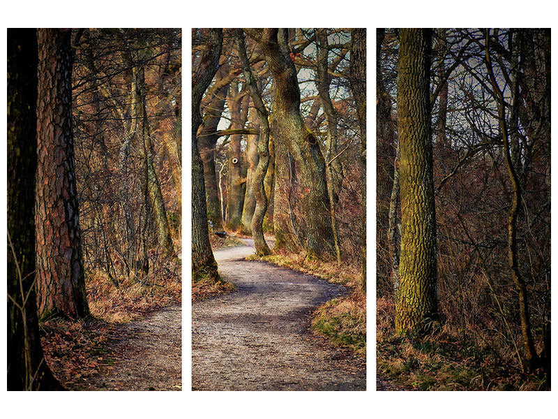 3-piece-canvas-print-enchanted-forest