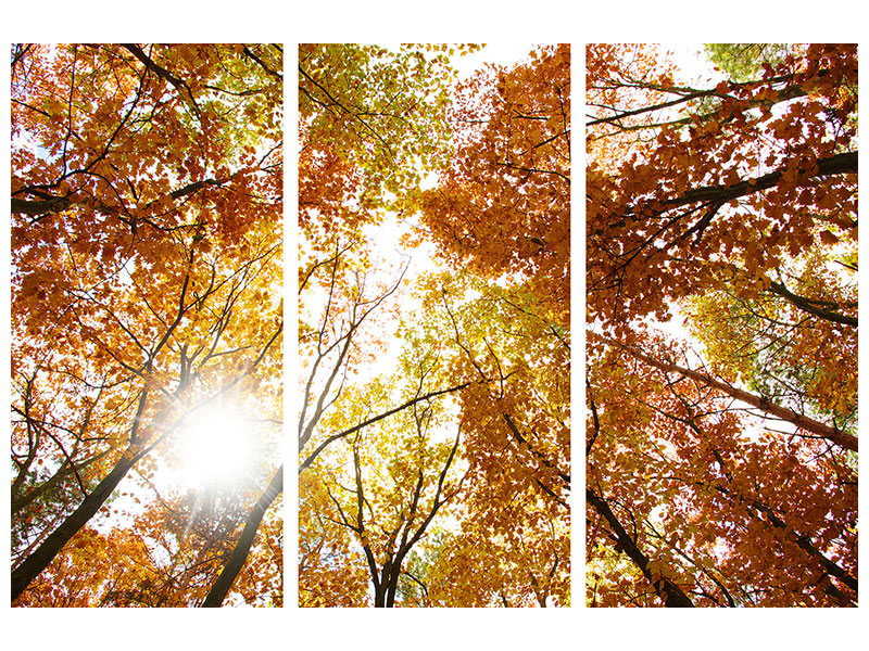 3-piece-canvas-print-enlightened-autumn-trees