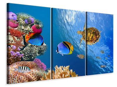 3-piece-canvas-print-fish-in-the-water
