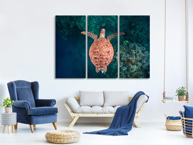 3-piece-canvas-print-flying-over-the-reef