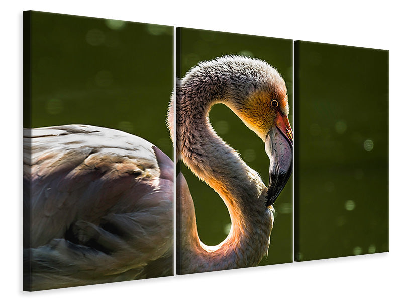 3-piece-canvas-print-gorgeous-bird