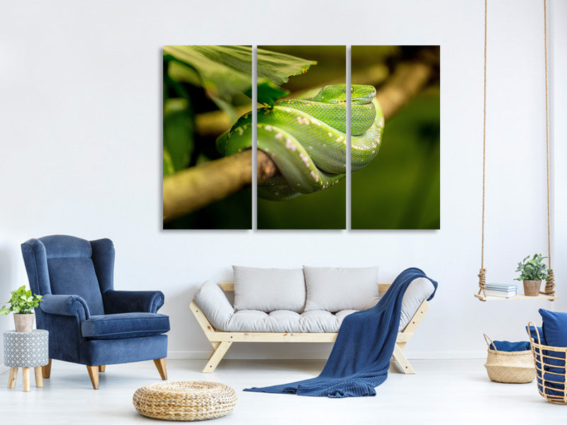 3-piece-canvas-print-green-snake