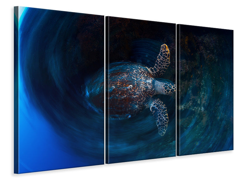 3-piece-canvas-print-hawksbill-sea-turtle