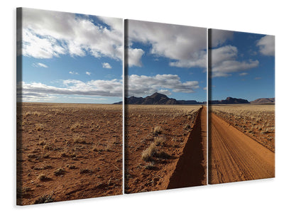 3-piece-canvas-print-in-namibia