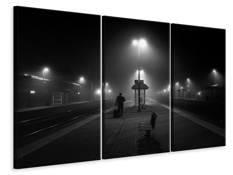 3-piece-canvas-print-in-the-mist