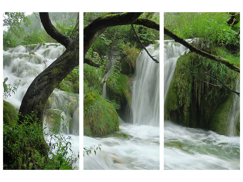 3-piece-canvas-print-in-the-national-park