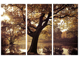 3-piece-canvas-print-landscape-park