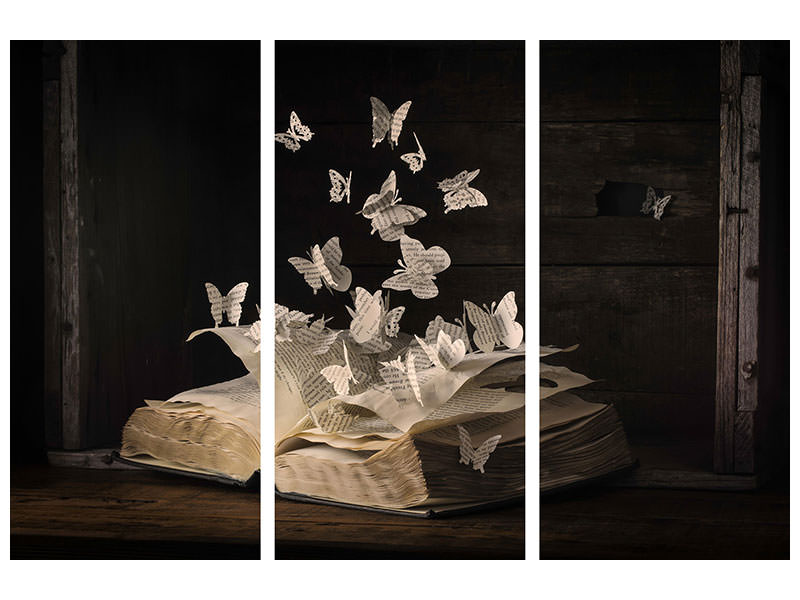 3-piece-canvas-print-lepidopterology