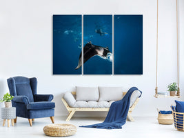 3-piece-canvas-print-manta-ray-ii