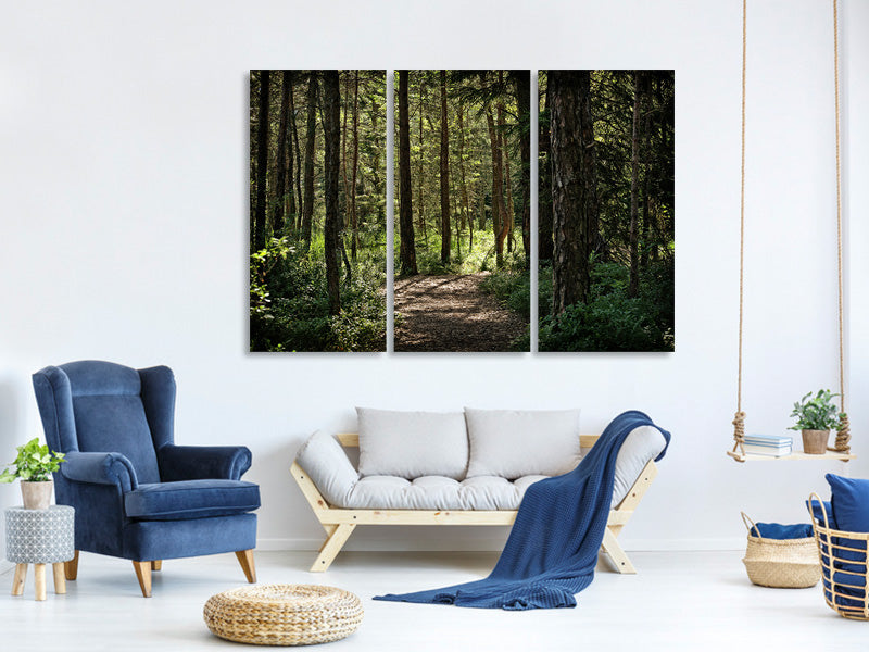 3-piece-canvas-print-many-trees