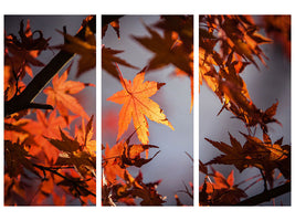 3-piece-canvas-print-maple-leaves-in-autumn