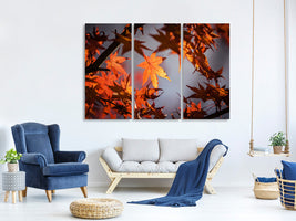 3-piece-canvas-print-maple-leaves-in-autumn