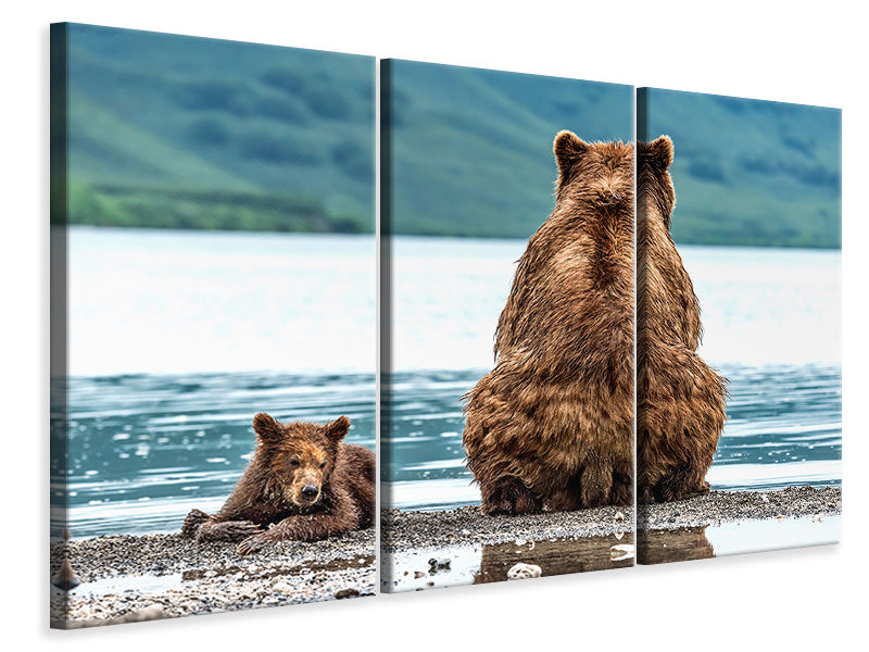 3-piece-canvas-print-opposites