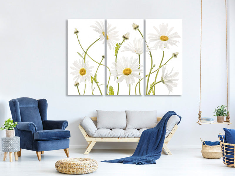 3-piece-canvas-print-ox-eye-daisies