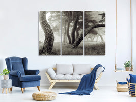 3-piece-canvas-print-pine-grove-in-fog