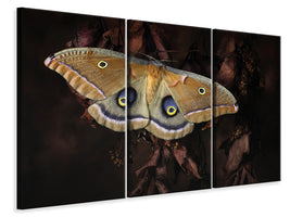 3-piece-canvas-print-polyphemus