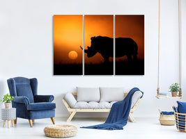 3-piece-canvas-print-rhino-sunrise