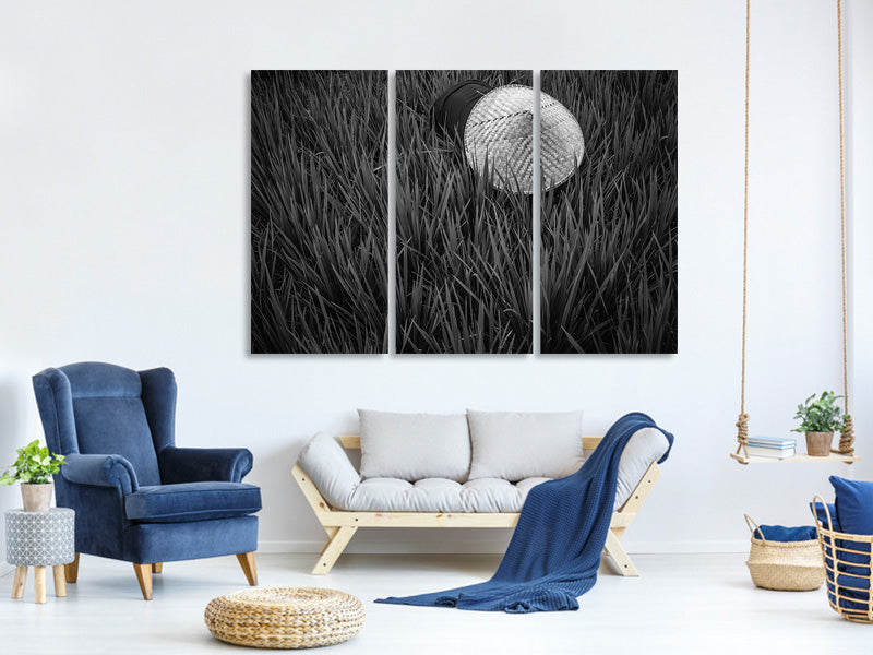 3-piece-canvas-print-rice-fields-in-bw