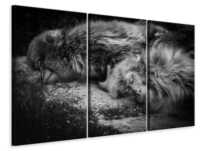 3-piece-canvas-print-sleeping