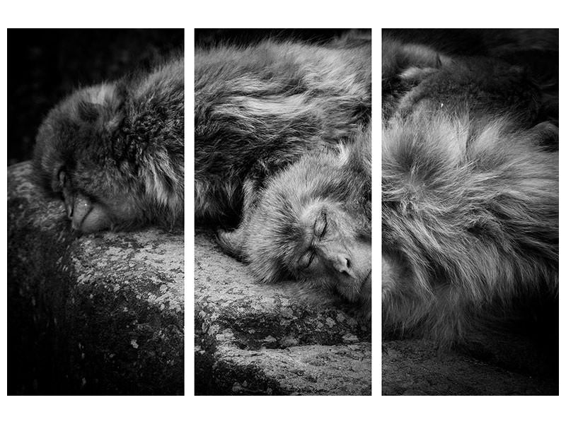 3-piece-canvas-print-sleeping