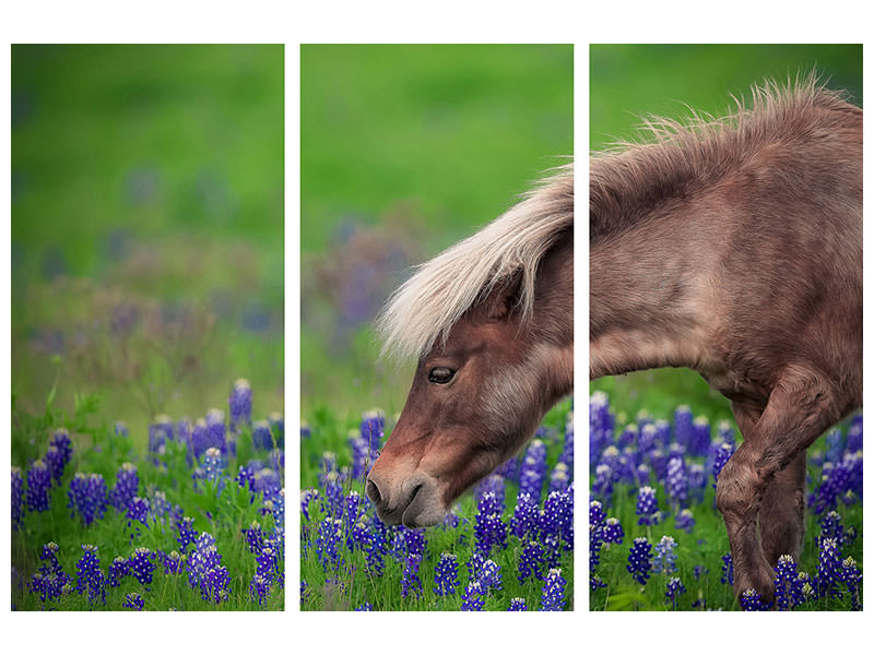 3-piece-canvas-print-spring-is-in-the-air