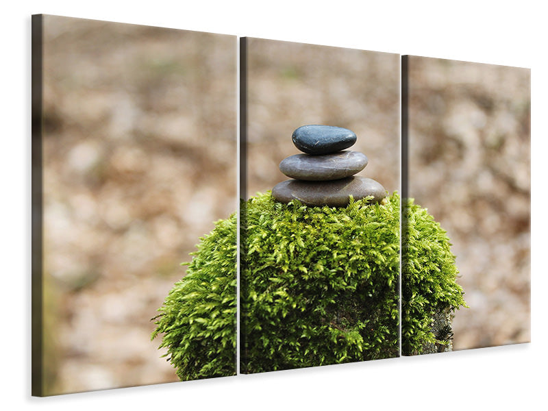 3-piece-canvas-print-stone-pile-on-plant