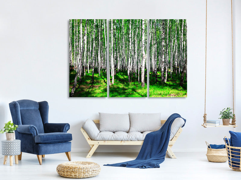 3-piece-canvas-print-summerly-birch-forest