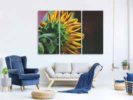 3-piece-canvas-print-sunflower-close-up