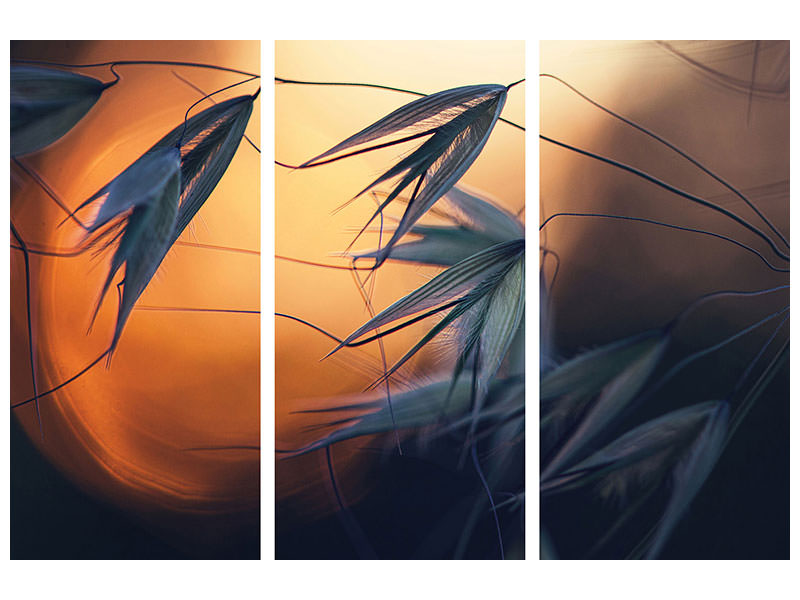 3-piece-canvas-print-sunset-p