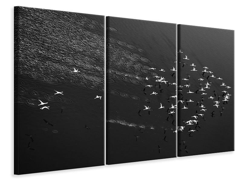 3-piece-canvas-print-take-off