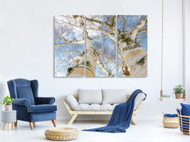 3-piece-canvas-print-the-2-birches