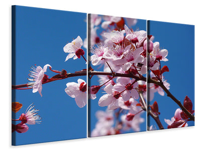 3-piece-canvas-print-the-almond-blossom