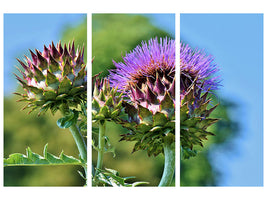 3-piece-canvas-print-the-artichoke-xl